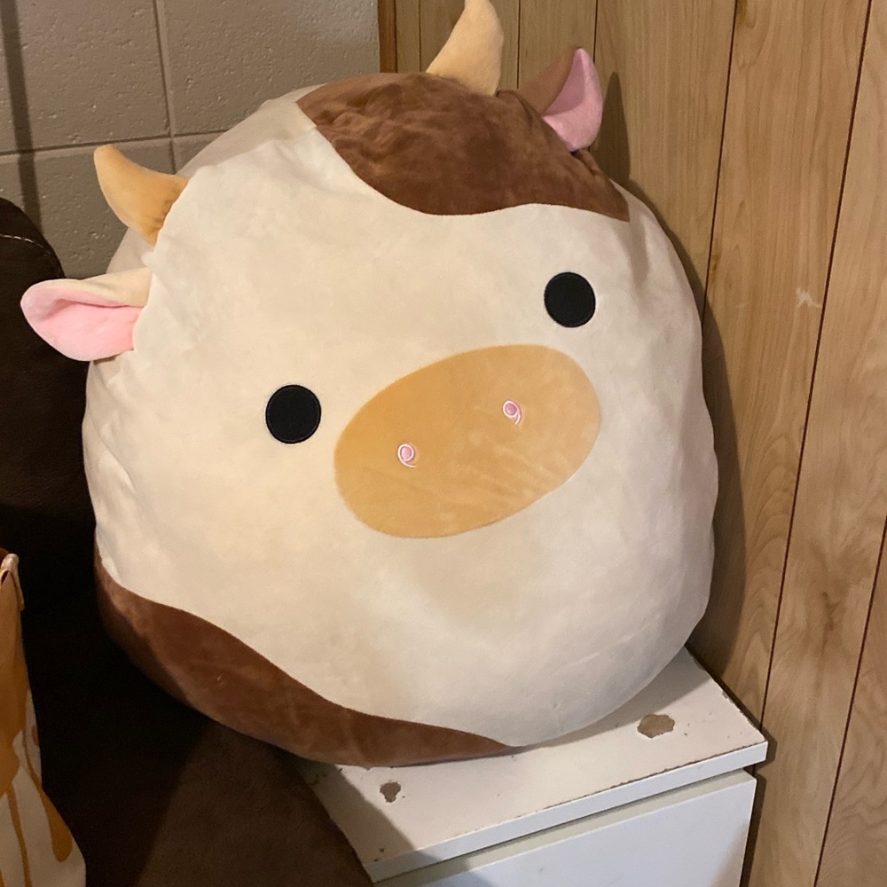 Squishmallow RONNIE